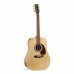 Norman Encore B20 Akustik Gitar (Natural)