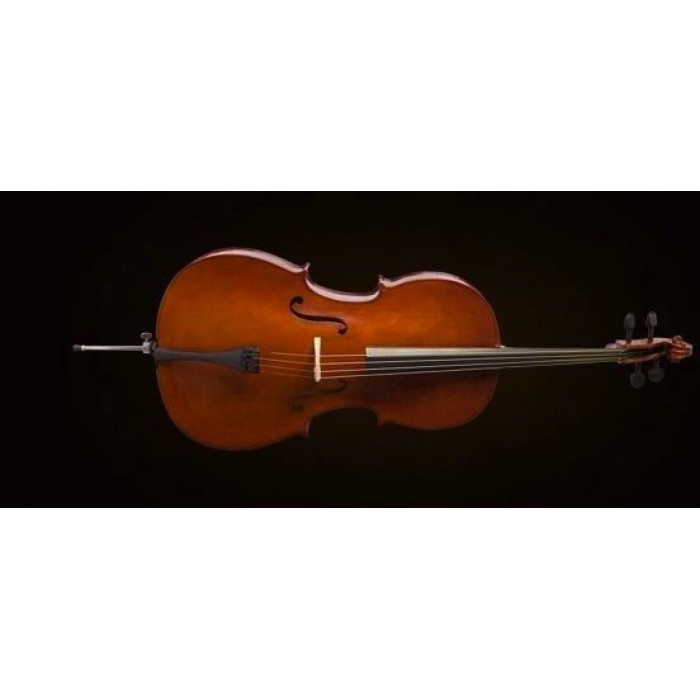 CELLO 4/4 SCALE +KILIF+YAY, KARARTILMIŞ AKÇAAĞAÇ B