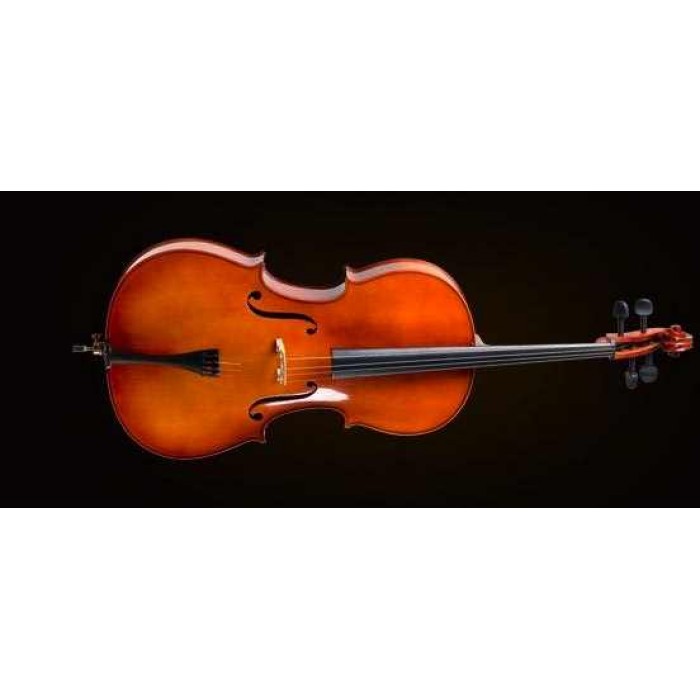 CELLO KILIFLI+YAY+REÇİNE, 1/2 SCALE, GERMAN SİSTEM