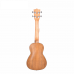 UKULELE 23