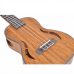 UKULELE 23